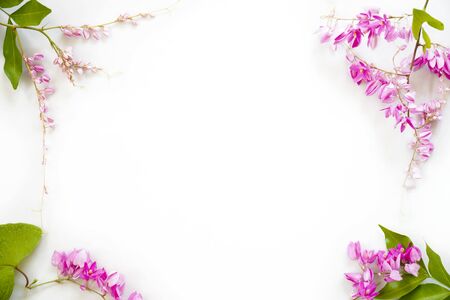 Frame of pink flowers with green leaf isolated on white background.の写真素材