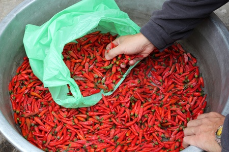 A Pile of Thawing red peppersの写真素材