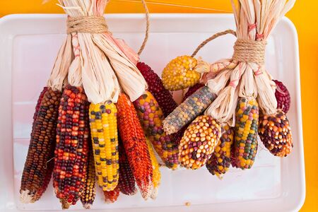 A variety of Color Mature cereals の写真素材