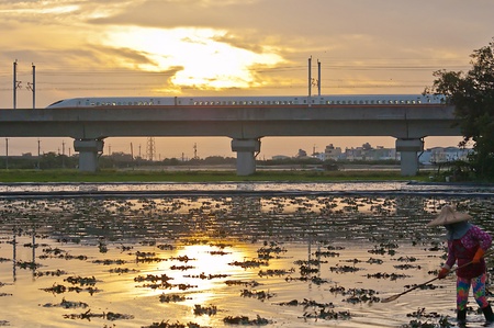 The landscape of Taiwan High Speed Rail and farmland
