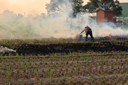 The landscape of rice fields with Farming Farmer at Taiwanの写真素材