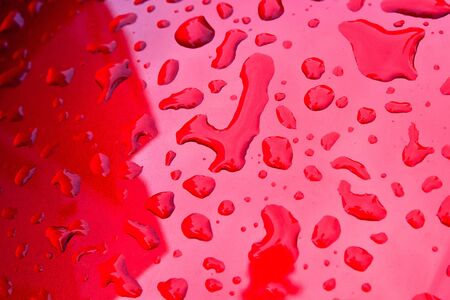 A Group of Arranged small red water dropsの写真素材