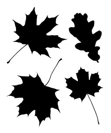 Autumn Leaf Silhouettesのイラスト素材