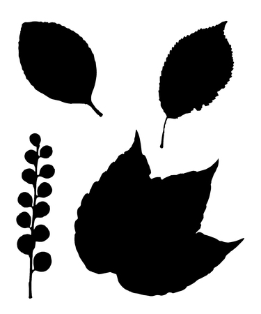 Autumn Leaf Silhouettesのイラスト素材