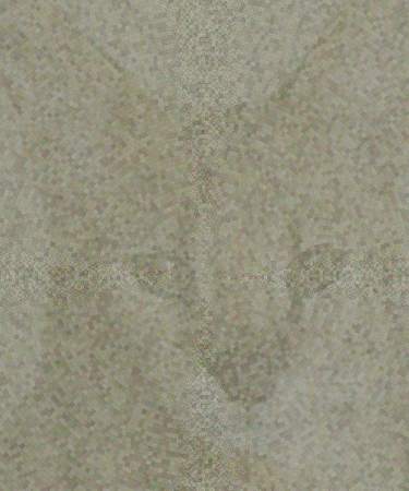 Cat mozaik background hypnotic picture spiral lookの写真素材