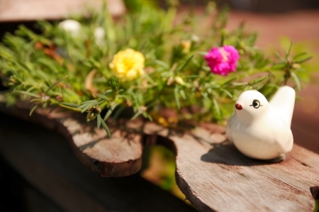 little white bird ceramic with Common Purslaneの写真素材
