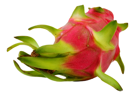 Dragon fruit, Pitaya, Hylocereus undatus (Haw) Britt. Rose. isolate backgroundの写真素材