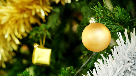 Golden Christmas ball and gilf decorate hanging on green pine tree for happy festival
