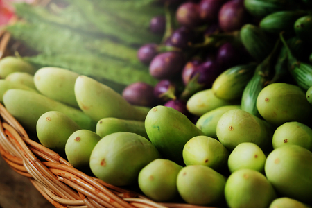 group of mini purple eggplant,mini Green eggplant,cucumber,Winged bean. healthy Thailand vegetable for dietの写真素材