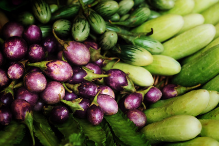 group of mini purple eggplant,mini Green eggplant,cucumber,Winged bean. healthy Thailand vegetable for dietの写真素材