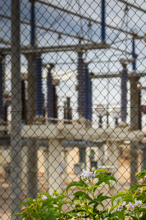 Flowers against the equipment of a high voltage electric networksの写真素材