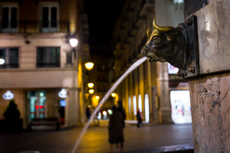 The fountain the head of a bull against the night street.の写真素材