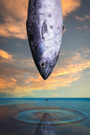 Fish over water with a dropped drop and circles on the surface against the background of the evening sky.の写真素材
