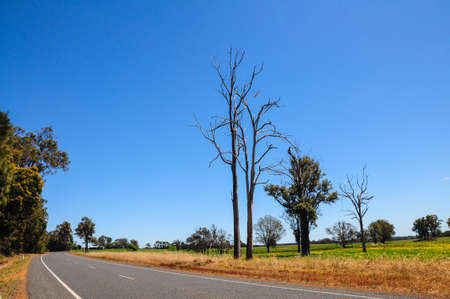 Roadside view on spring design in Western Australia.の写真素材