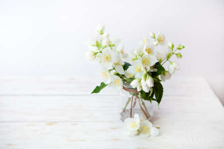 Fragrant jasmine bouquet in a vase on  on white wooden table.selective focusの写真素材