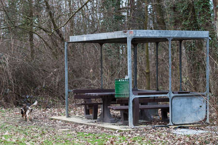 Wartehäuschenの写真素材