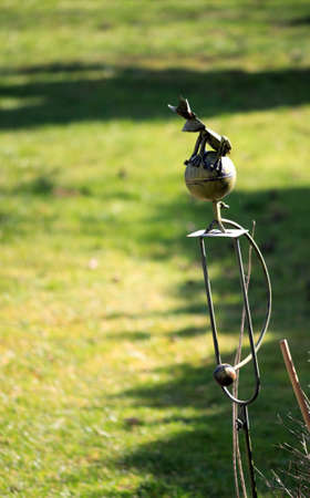 Froschkönigの写真素材