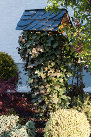 Vogelhausの写真素材