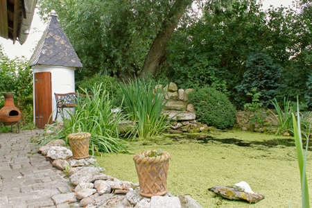 fish pondの写真素材