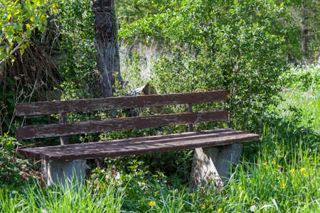 park benchの写真素材