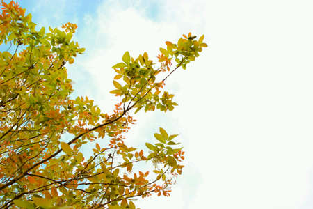 Worm's Eye Viewの素材