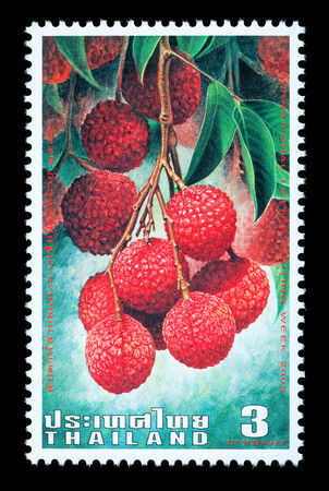 Thailand - Circa 2003: A Thai postage stamp printed in Thailand depicting Thai lychee fruitのeditorial素材