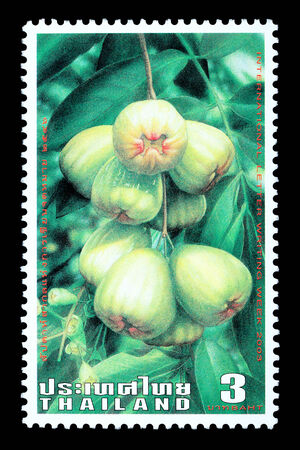 Thailand - Circa 2003: A Thai postage stamp printed in Thailand depicting traditional Thai mountain apple fruitのeditorial素材