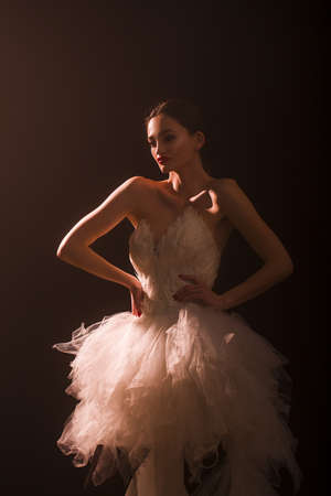 Fashion art photo of beautiful elegant lady on dark background. Spring-Summer.の写真素材