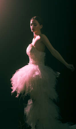 Gorgeous brunette model ballerina girl with beautiful hairstyle and make-up.の写真素材