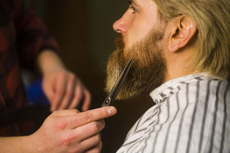 Hands of barber making haircut to attractive bearded man in barbershop.の写真素材