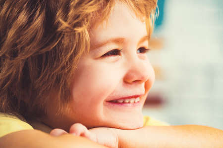 European little school-age boy with brown eyes looking directly at the camera, close-up.の写真素材