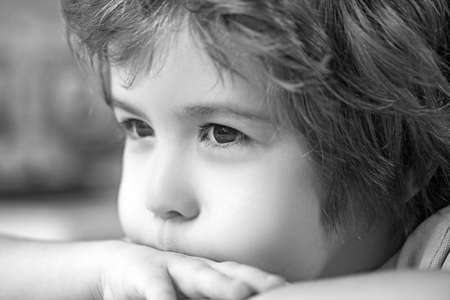 Cute adorable happy little boy having fun child portrait.の写真素材