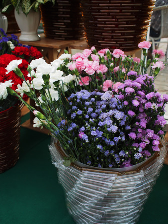 Chrysanthemums and carnations, many beautiful colors are placed in pots ornamental. At large in the flower shop.の写真素材