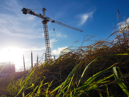Cranes in the construction area that are working on the bright sky background.の写真素材