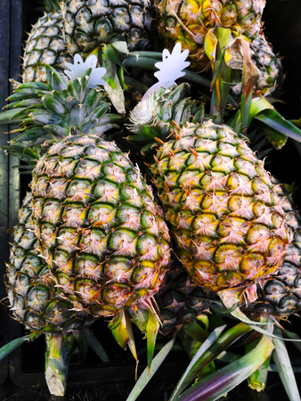 Pineapples in the supermarket shelves.の写真素材