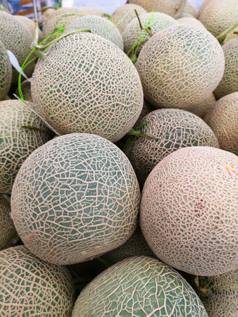 Fresh Melons that is placed on the shelf in the supermarket.の写真素材