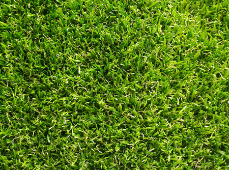 Artificial grass with green color for natural backgroundの写真素材