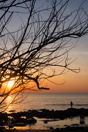 Silhouettes of dead trees on the beach and colorful skies on a sunset backgroundの写真素材