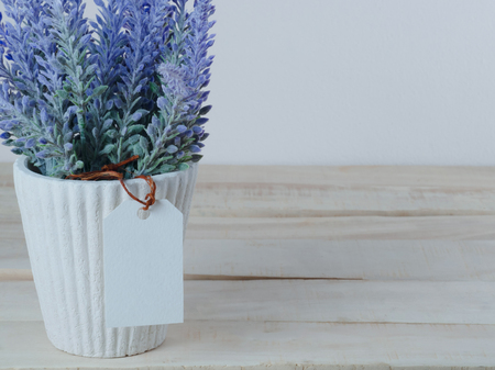 Purple lavender pots, with blank paper tags And put on a wooden table For the backgroundの写真素材
