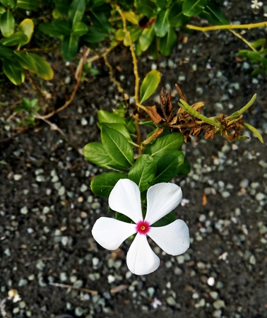 the beauty of nature along the journey for coming homeの写真素材