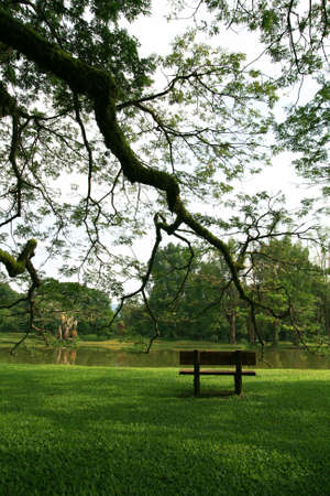 A lonely chair by lake sideの写真素材
