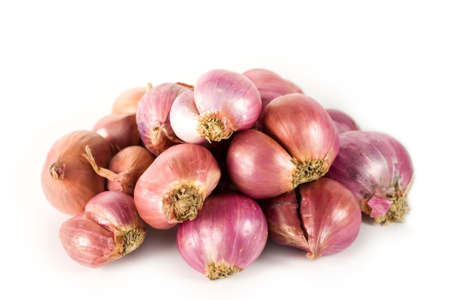Onion