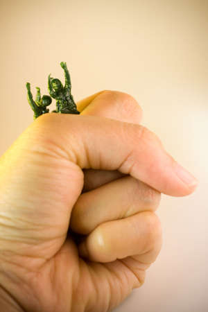 Toy soldiers being caught in a giant hand  concept of trapped or being controlled in a hard situation, global politic, war or economyの写真素材