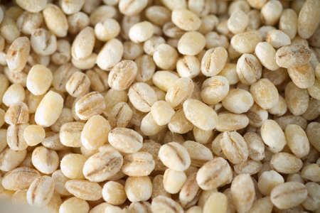 A close up shot of barley, selective focus. の写真素材