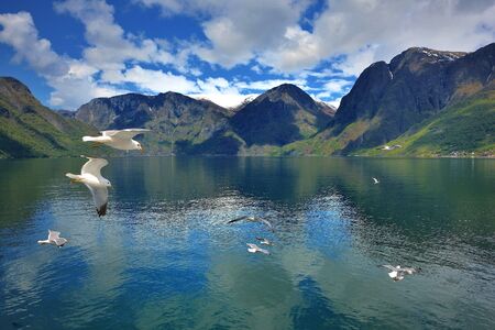 sognefjordenの写真素材