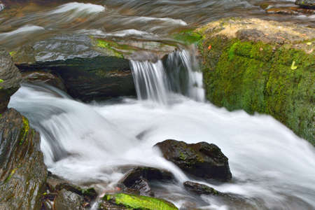 streamの写真素材