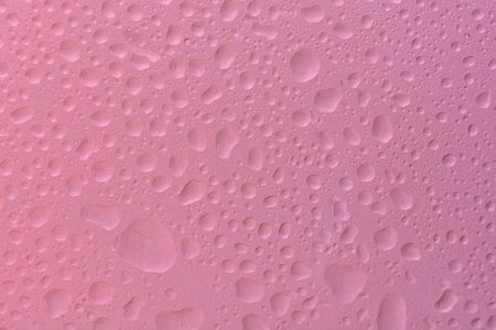 Pink water drops background selected focusの写真素材