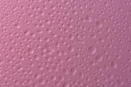 Pink water drops background selected focusの写真素材