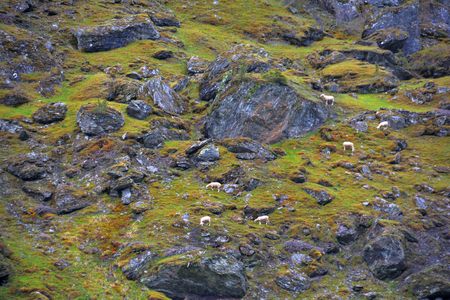 View of the The flom, Norwegian-Travel live in a log cabin in Norway Flom village Photo taken on:. June 7 & 8, 2015の写真素材