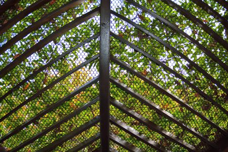 Autumn country park, Taiwan.の写真素材